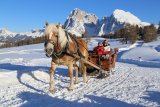 Schlerngebiet / Seiser Alm 4 Zimní Alpy