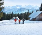 Salzkammergut 3 Zimní Alpy