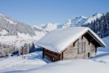 Adelboden – Lenk 2 Zimní Alpy