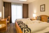 The Vista Hotel 13 Zimní Alpy
