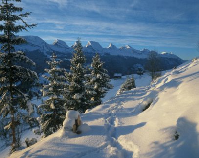 Toggenburg Zimní Alpy